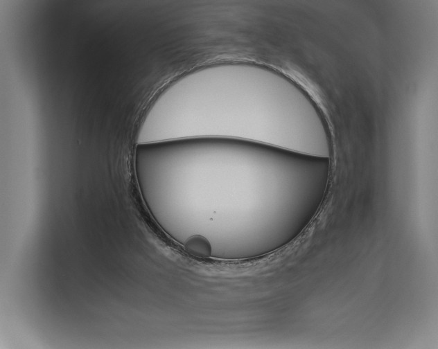 X0000110710009200906121105