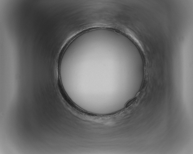 X0000110710011200906121105