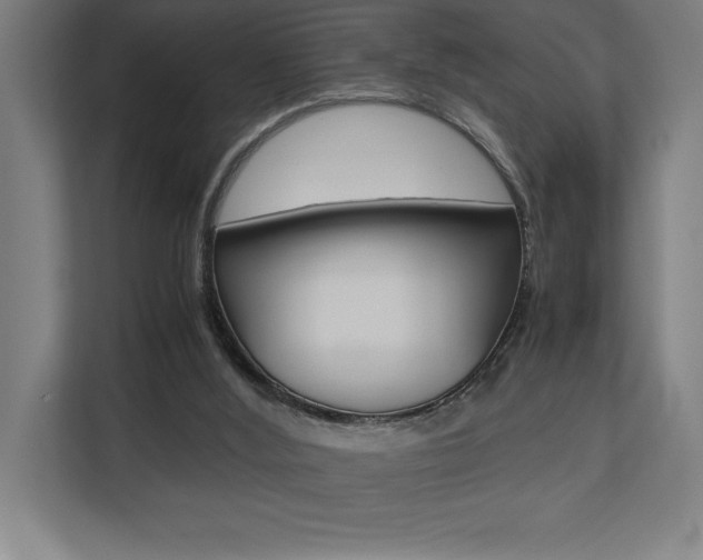 X0000110710012200906121105