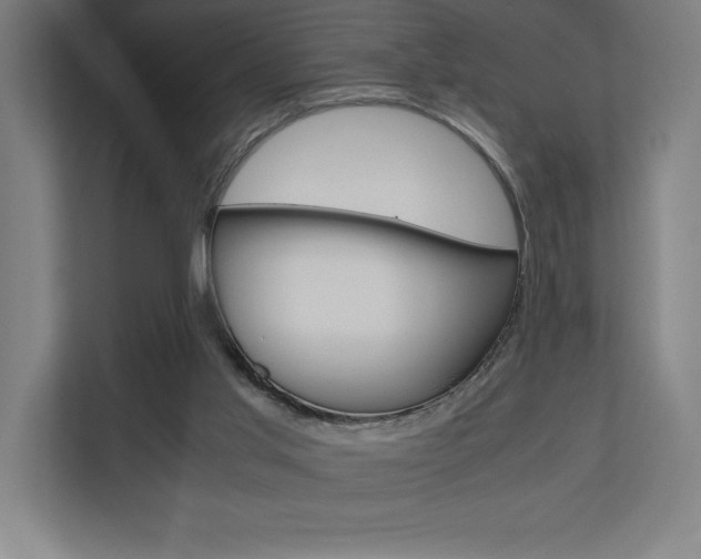 X0000110710013200906121105