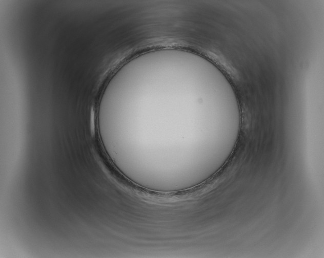 X0000110710014200906121105