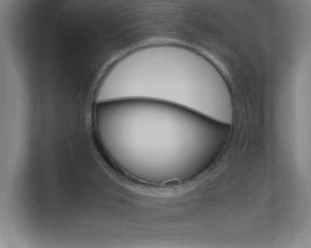 X0000110710015200906121105