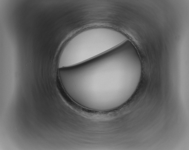 X0000110710016200906121105