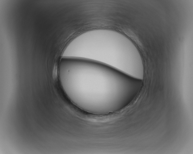 X0000110710021200906121105