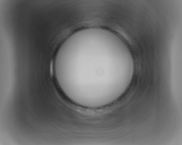 X0000110710022200906121105