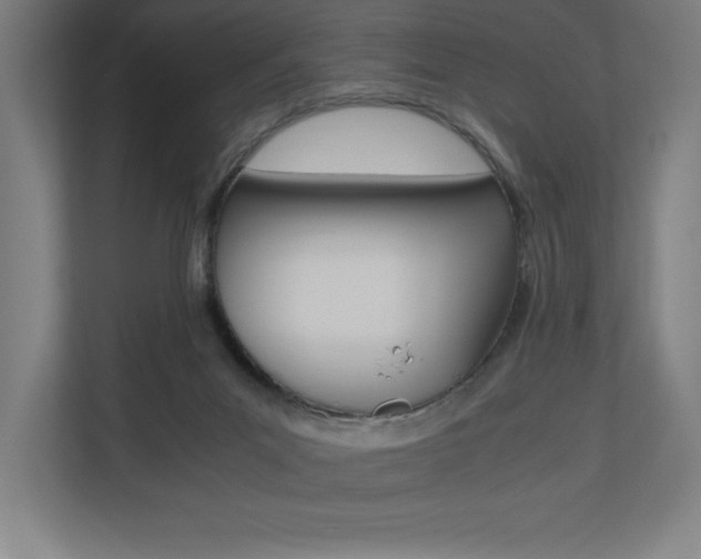 X0000110710023200906121105