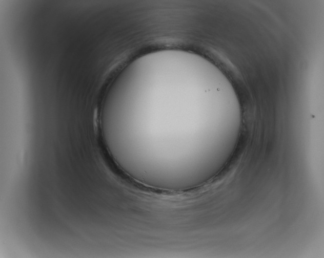 X0000110710024200906121105