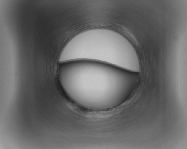 X0000110710025200906121105