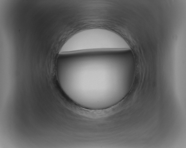 X0000110710031200906121105