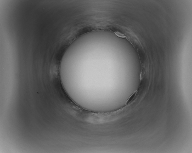 X0000110710033200906121105