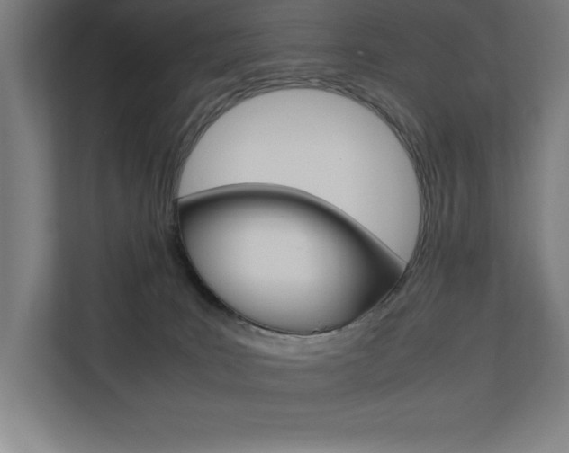 X0000110710035200906121105