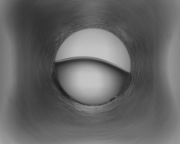 X0000110710039200906121105