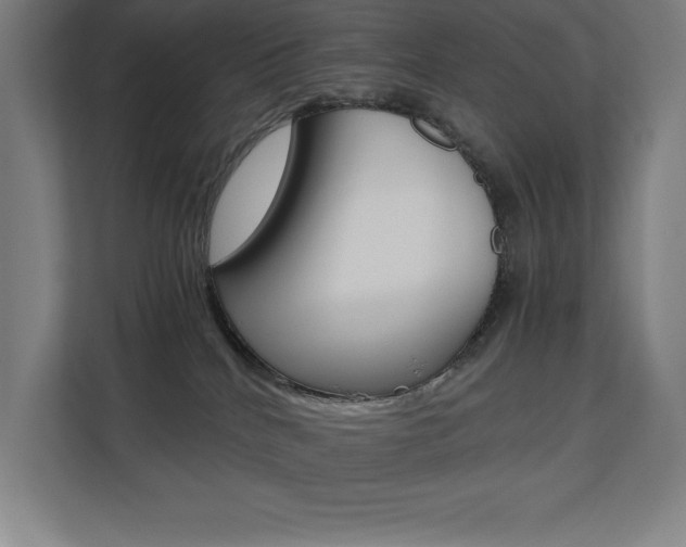 X0000110710040200906121104
