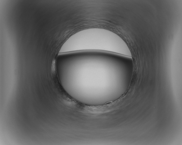 X0000110710041200906121104