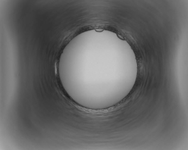 X0000110710042200906121104
