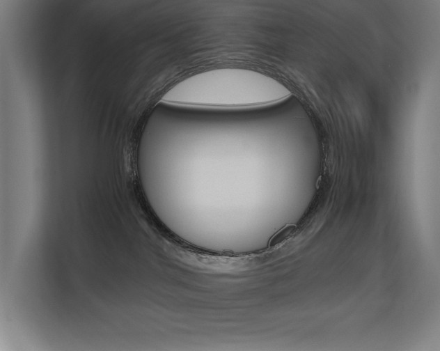 X0000110710044200906121104