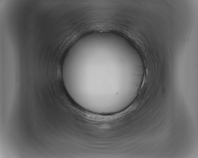 X0000110710048200906121104