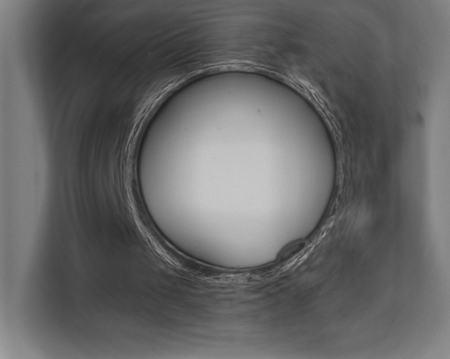 X0000110710049200906121104