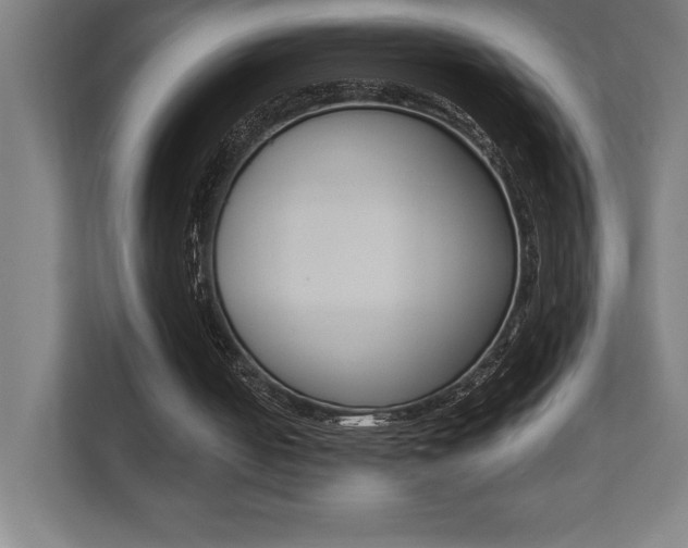 X0000110710050200906121104