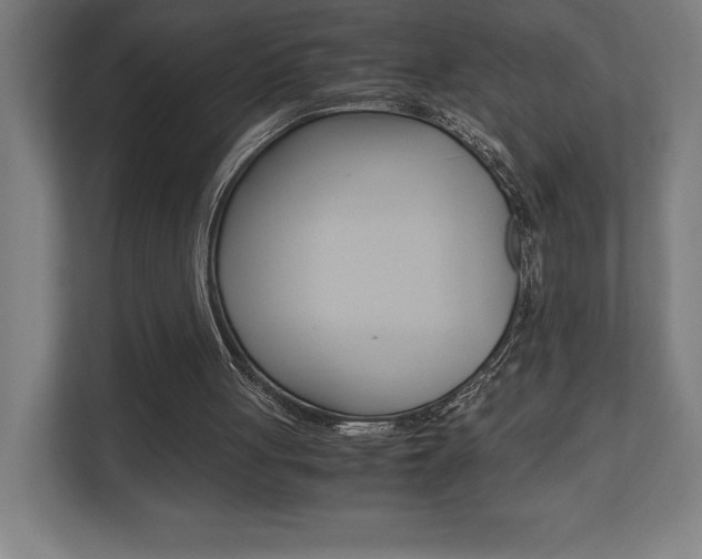 X0000110710051200906121104