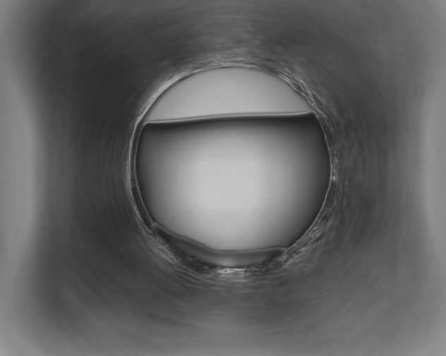 X0000110710052200906121104
