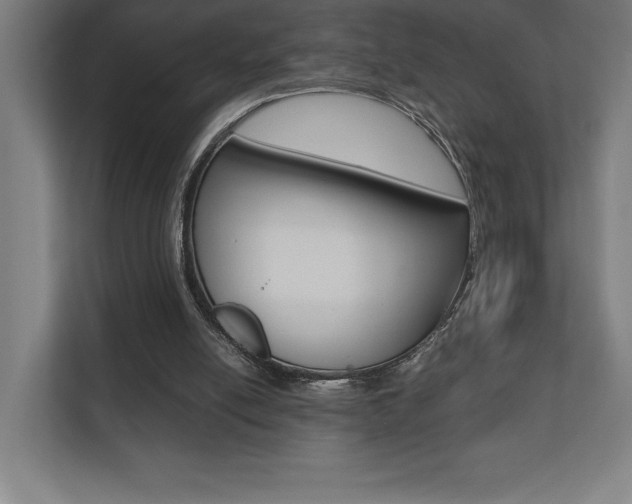 X0000110710054200906121104