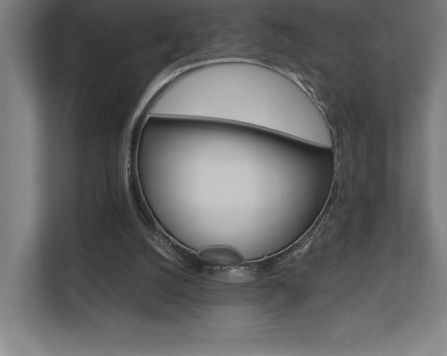 X0000110710056200906121104