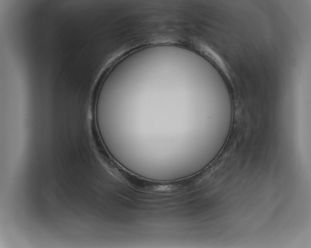 X0000110710059200906121104