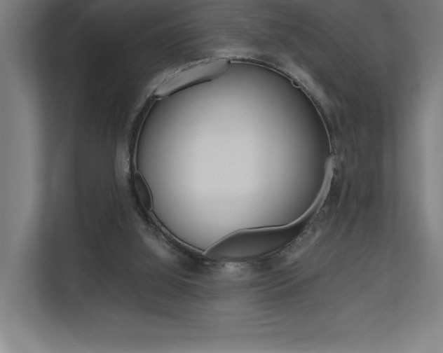 X0000110710060200906121104