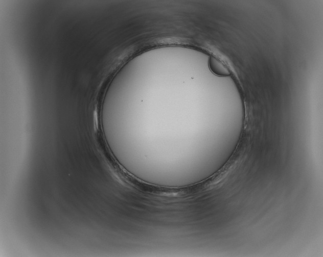 X0000110710061200906121104