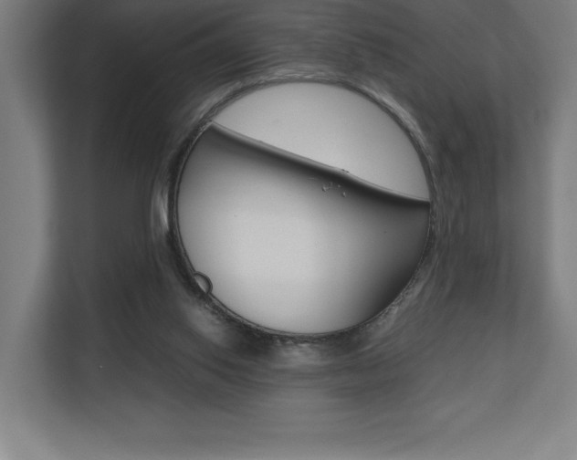 X0000110710062200906121104