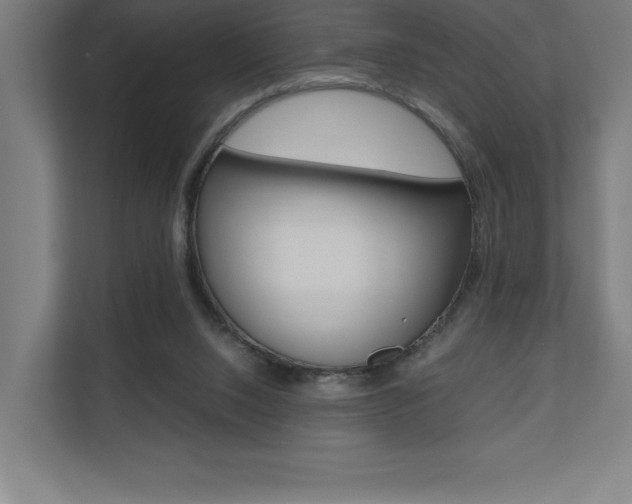 X0000110710064200906121104