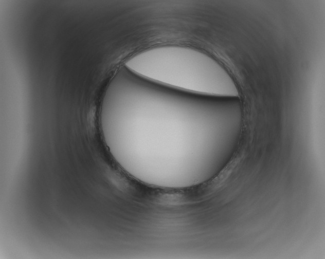 X0000110710066200906121104