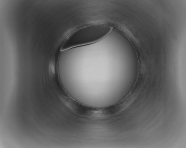 X0000110710068200906121104