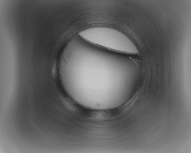 X0000110710074200906121104