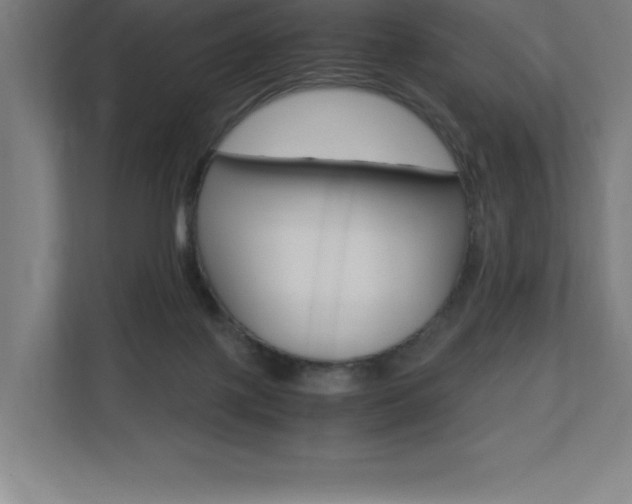 X0000110710075200906121104