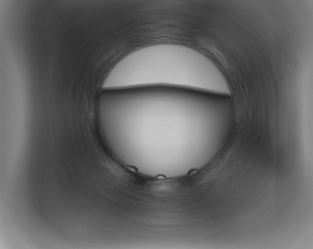 X0000110710077200906121104