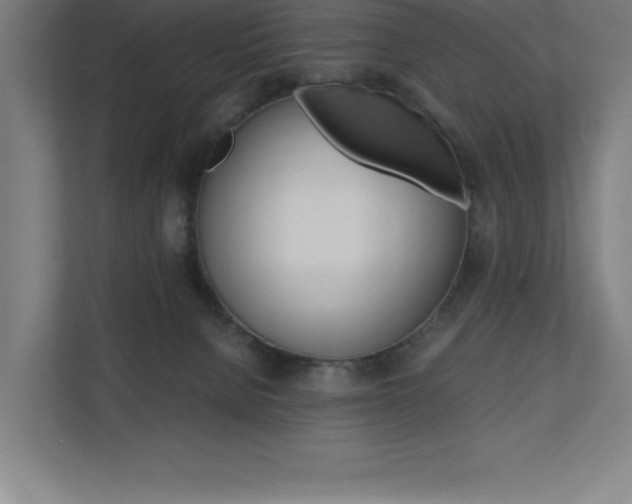 X0000110710080200906121104