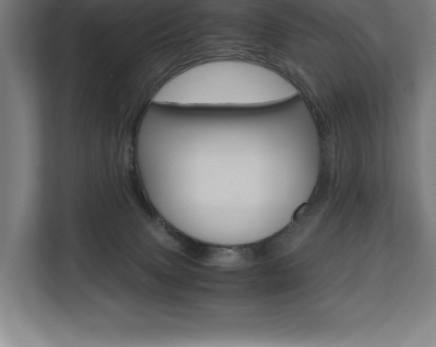 X0000110710083200906121104