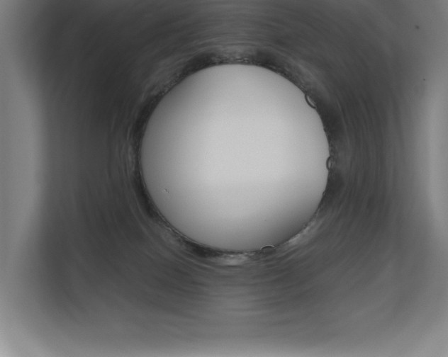 X0000110710086200906121104