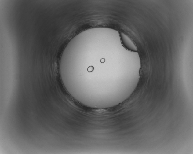 X0000110710087200906121104