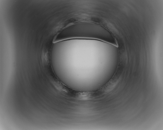 X0000110710088200906121104