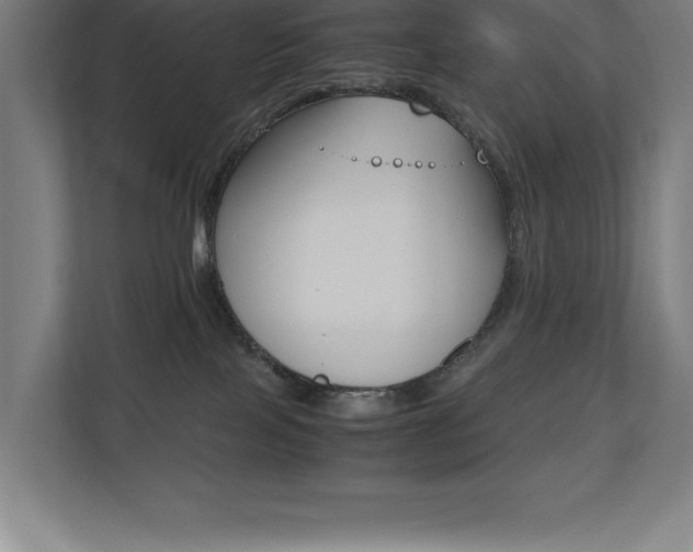 X0000110710089200906121104