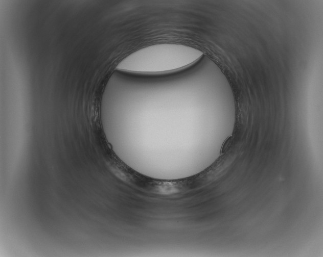X0000110710091200906121104
