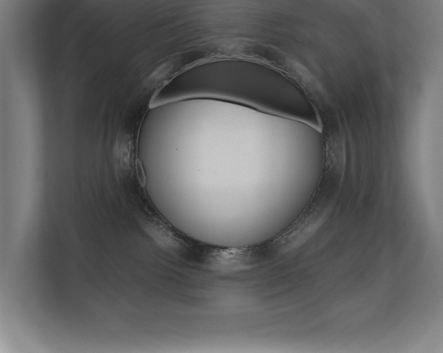 X0000110710092200906121104