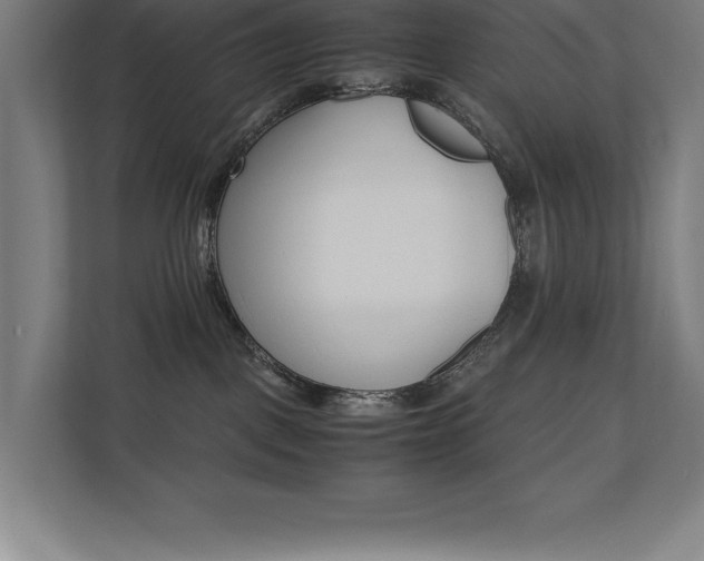 X0000110710093200906121104