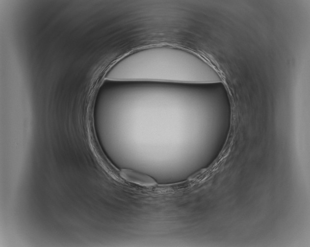 X0000110710097200906121104