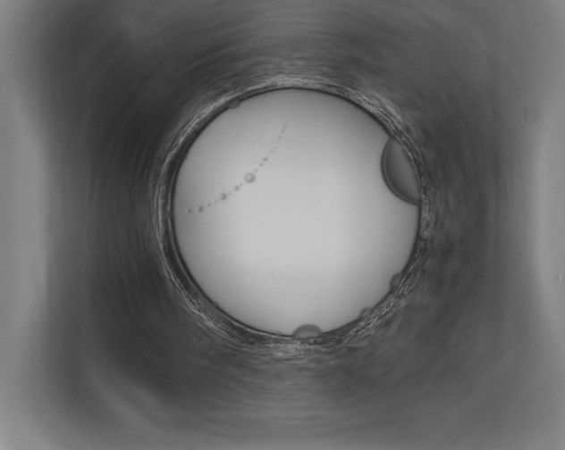 X0000110710098200906121104