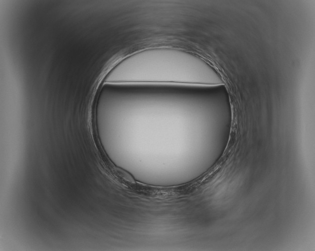 X0000110710099200906121104