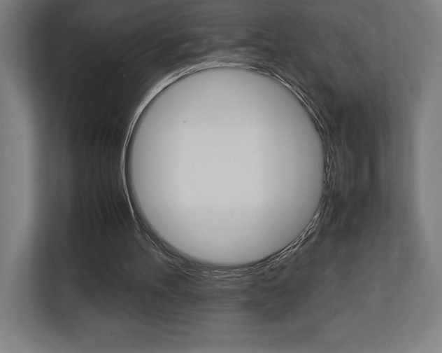 X0000110710100200906121104